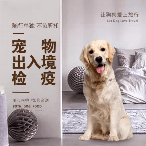 阿拉善盟宠物托运到哥伦比亚猫狗宠物入境规定和