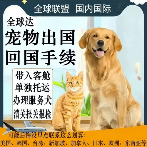阿拉善盟宠物托运到柬埔寨宠物入境规定和要求