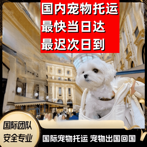 阿拉善盟到澳大利亚（澳洲）宠物入境规定和要求