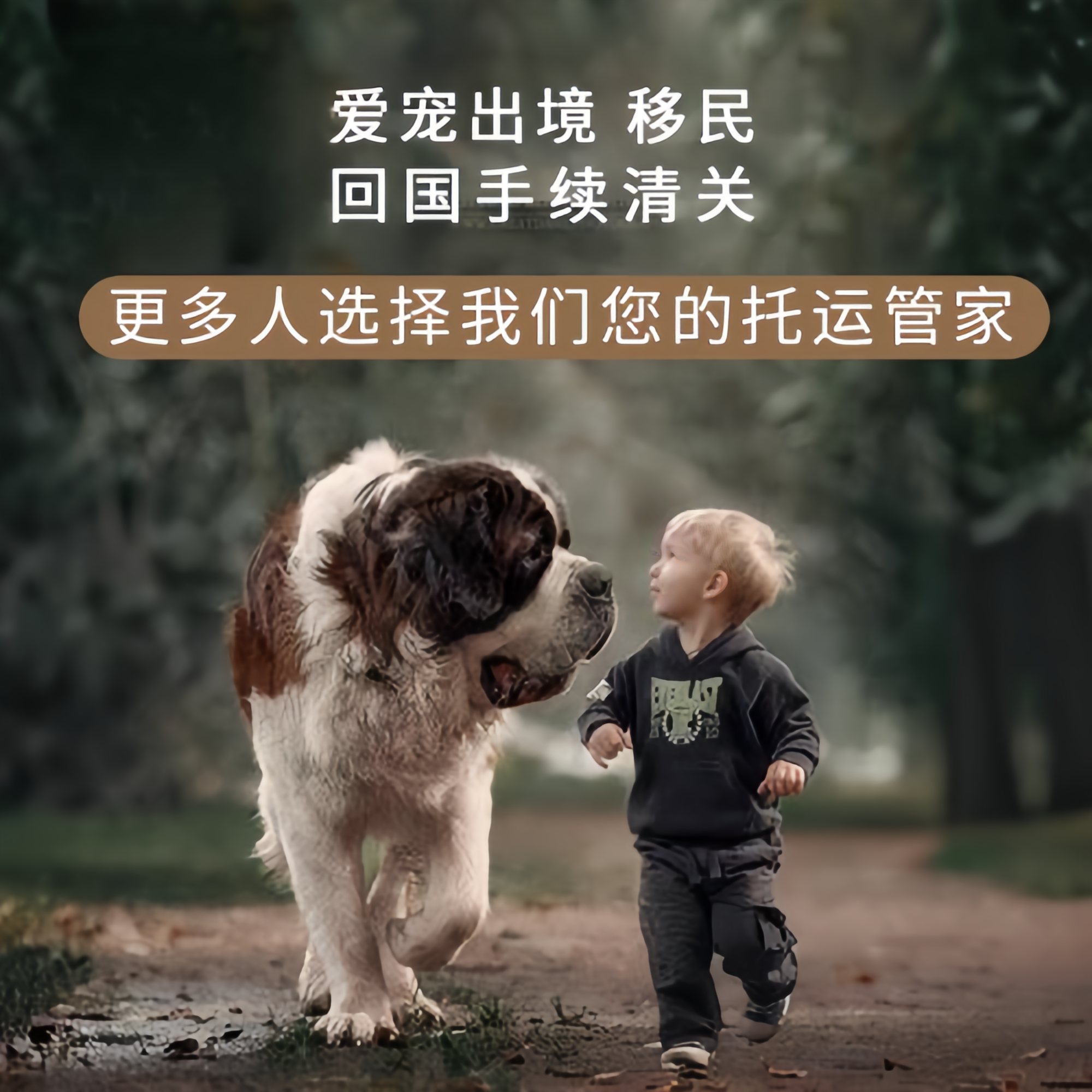 满财阿拉善盟宠物全球达宠物托运在遵守入境目的地政策的条件