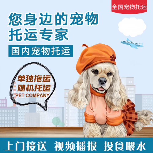 满财阿拉善盟宠物全球达宠物托运作为专业的宠物运输代理机构